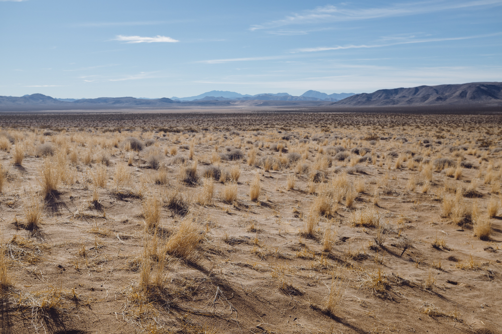 a desert